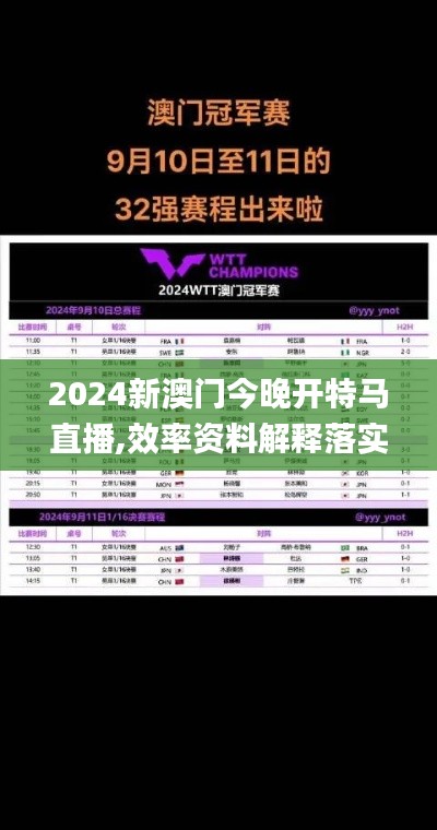 2024新澳門今晚開特馬直播,效率資料解釋落實(shí)_W3.851