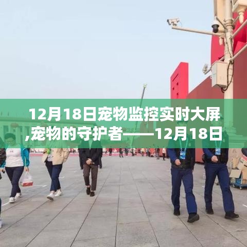 寵物監(jiān)控實(shí)時(shí)大屏深度評(píng)測(cè)與介紹，守護(hù)寵物的守護(hù)者
