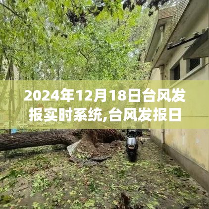 臺(tái)風(fēng)發(fā)報(bào)實(shí)時(shí)系統(tǒng)與風(fēng)的奇妙約會(huì)，探索自然美景之旅（2024年12月18日）