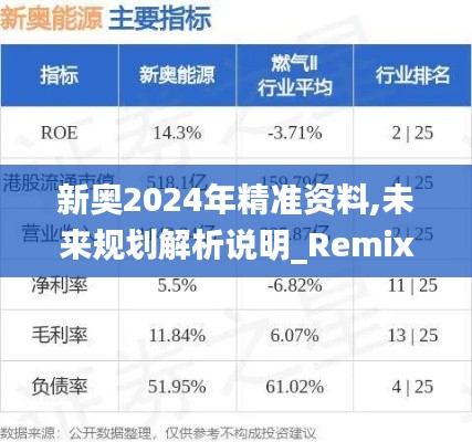 新奧2024年精準(zhǔn)資料,未來(lái)規(guī)劃解析說(shuō)明_RemixOS7.815