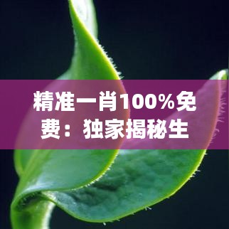 精準(zhǔn)一肖100%免費(fèi)：獨(dú)家揭秘生肖運(yùn)勢(shì)與財(cái)富增長(zhǎng)秘籍