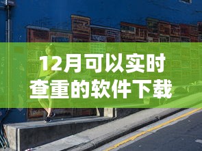 探秘小巷深處的查重寶藏，實時查重軟件下載指南（12月版）