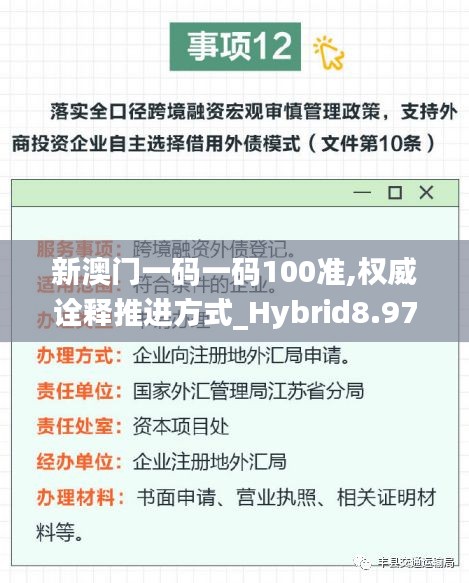 新澳門(mén)一碼一碼100準(zhǔn),權(quán)威詮釋推進(jìn)方式_Hybrid8.976