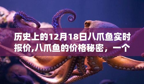 揭秘八爪魚價格秘密，溫馨十二月十八日故事與實時報價