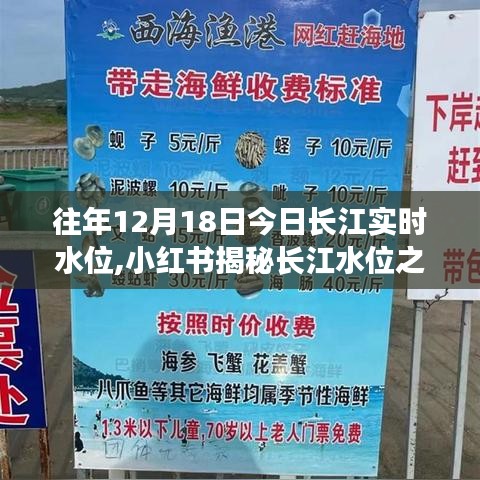 揭秘長(zhǎng)江水位之謎，歷年12月18日長(zhǎng)江實(shí)時(shí)水位深度解析與小紅書(shū)分享的水位數(shù)據(jù)回顧