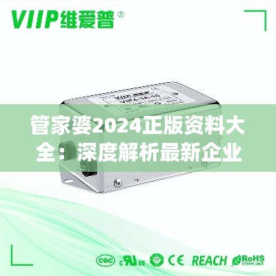 管家婆2024正版資料大全：深度解析最新企業(yè)管理軟件功能與應用指南