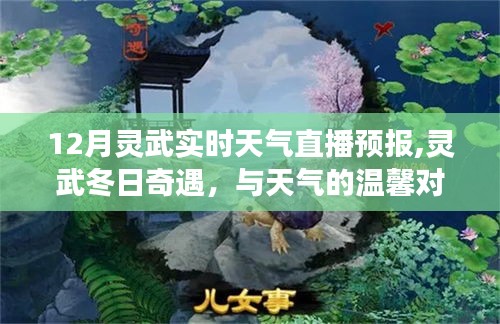 靈武冬日奇遇，實(shí)時(shí)天氣直播與朋友的深厚情誼體驗(yàn)