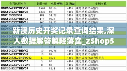 新澳歷史開獎記錄查詢結(jié)果,深入數(shù)據(jù)解答解釋落實_zShop5.549