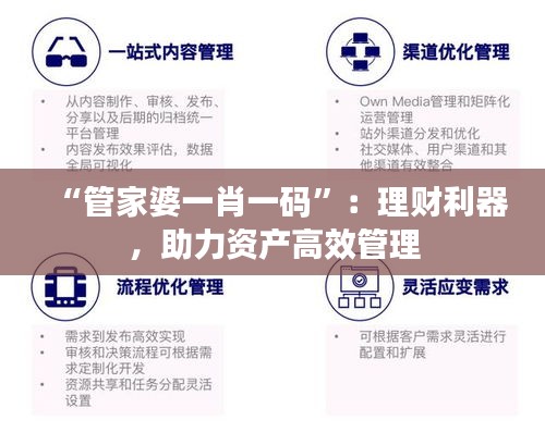 “管家婆一肖一碼”：理財利器，助力資產(chǎn)高效管理