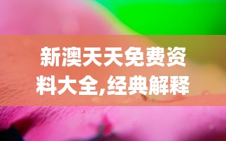 新澳天天免費資料大全,經(jīng)典解釋落實_桌面款14.367