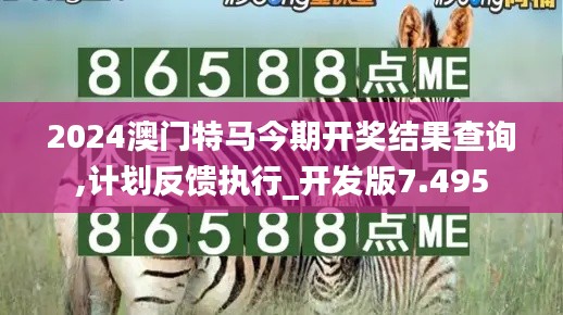 2024澳門特馬今期開獎(jiǎng)結(jié)果查詢,計(jì)劃反饋執(zhí)行_開發(fā)版7.495