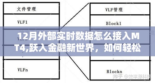 金融新世界探索，十二月MT4實時數(shù)據(jù)接入方法與策略