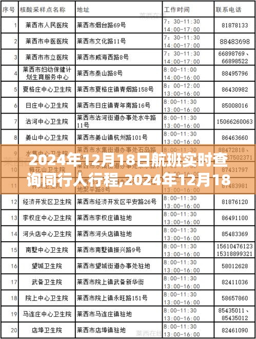 2024年12月18日航班同行人實(shí)時(shí)查詢，追蹤時(shí)代旅程的便捷工具