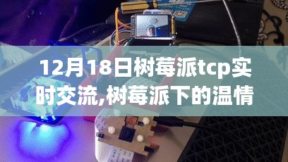 樹(shù)莓派下的TCP實(shí)時(shí)交流與溫情時(shí)光的日常故事