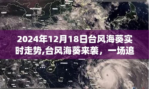 臺風?？麃硪u，追尋自然寧靜的奇妙旅行實時走勢（2024年12月18日）