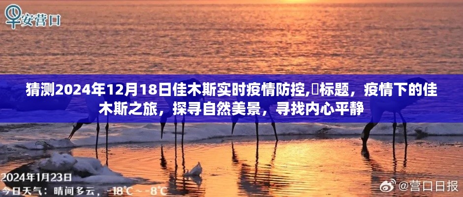 疫情下的佳木斯之旅，探尋自然美景與內(nèi)心平靜，預(yù)測(cè)佳木斯疫情防控動(dòng)態(tài)（2024年12月18日）