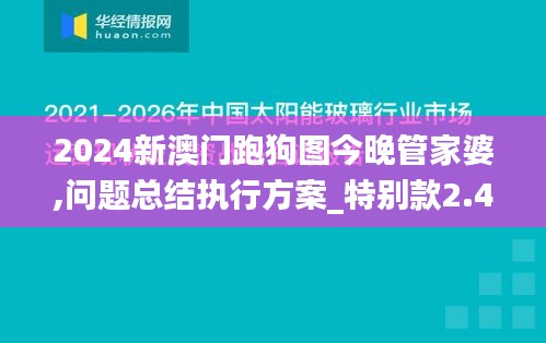 2024新澳門(mén)跑狗圖今晚管家婆,問(wèn)題總結(jié)執(zhí)行方案_特別款2.411