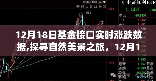 揭秘基金實時漲跌背后的故事，探尋自然美景之旅的啟示（12月18日）