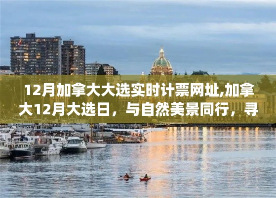 加拿大12月大選日與自然美景同行的心靈靜謐之旅實時計票網(wǎng)址揭曉