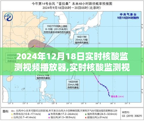 實(shí)時核酸監(jiān)測視頻播放器深度解析與用戶體驗(yàn)報告，功能、性能及用戶體驗(yàn)一網(wǎng)打盡（2024年12月版）