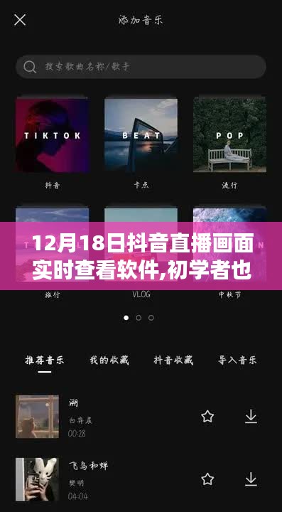 初學(xué)者必備！12月18日抖音直播畫面實(shí)時查看軟件使用指南與全攻略