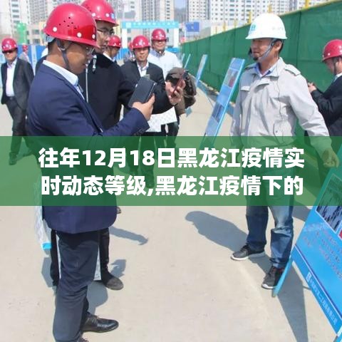 黑龍江疫情下的暖心日常，友情與陪伴的故事，歷年12月18日疫情實時動態(tài)等級回顧