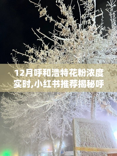 大雅君子 第4頁