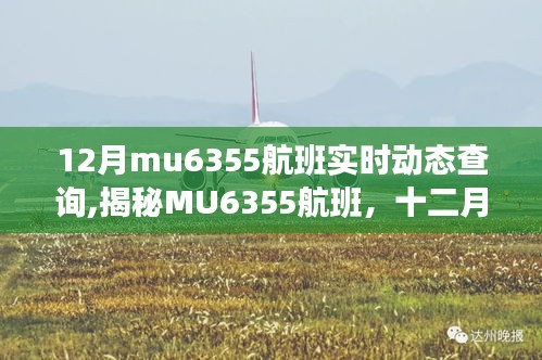 揭秘MU6355航班，十二月飛行軌跡與時代印記的實時動態(tài)查詢