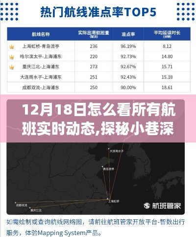 探秘航班實(shí)時(shí)動(dòng)態(tài)情報(bào)站，追蹤藍(lán)天軌跡的秘境之旅（12月18日）