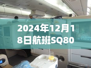 2024年12月18日航班SQ802實(shí)時(shí)動(dòng)態(tài)查詢與追蹤，掌握行程細(xì)節(jié)！
