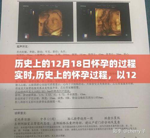 揭秘歷史上懷孕過程，以12月18日為時間線的懷孕歷程實時追蹤