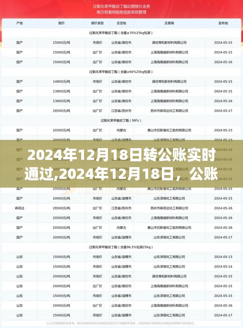 心靈之旅啟程日，公賬實(shí)時(shí)轉(zhuǎn)賬紀(jì)念與未來展望