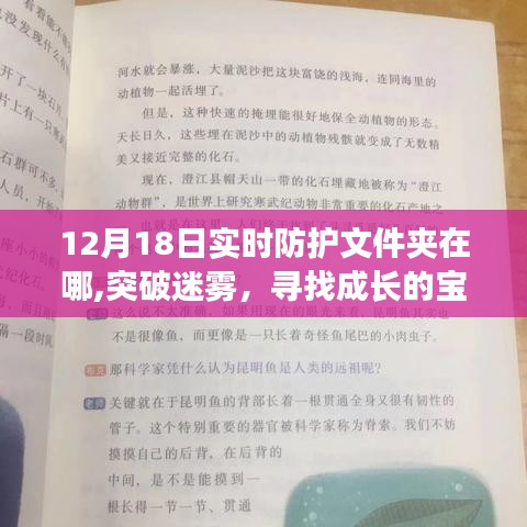 揭秘實時防護(hù)文件夾位置，成長的寶藏與變化中的守護(hù)之地