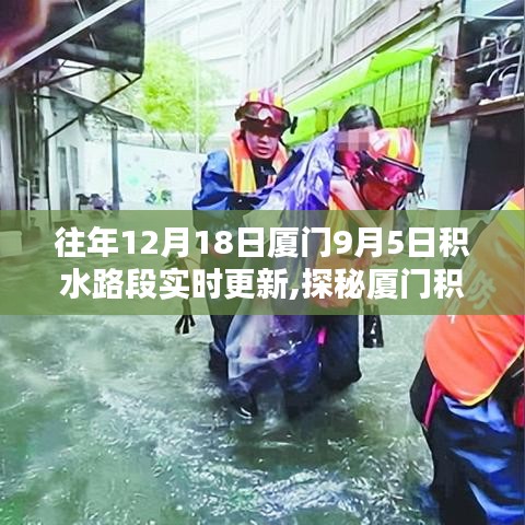 廈門積水路段實時更新，探秘特色小巷與奇趣小店