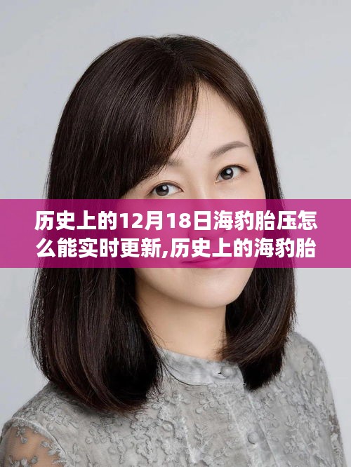 歷史上的海豹胎壓，實時更新的奇跡與科技進步的見證者
