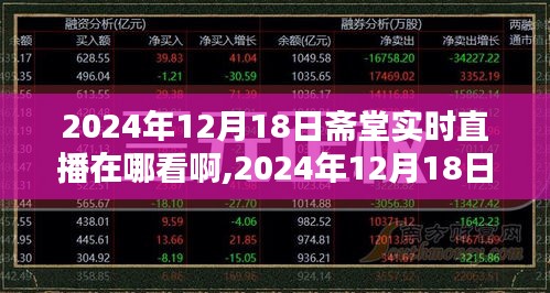 齋堂直播指南，如何觀看與討論2024年12月18日的齋堂實(shí)時(shí)直播