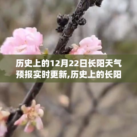 歷史上的長(zhǎng)陽(yáng)天氣預(yù)報(bào)探尋，數(shù)據(jù)背后的故事與變遷——實(shí)時(shí)更新中的歷史數(shù)據(jù)解析
