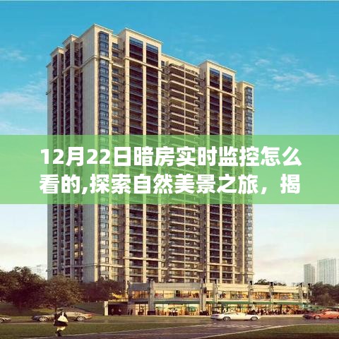 揭秘暗房下的秘密，實(shí)時(shí)監(jiān)控與自然美景探索之旅，內(nèi)心的寧?kù)o如何獲得？