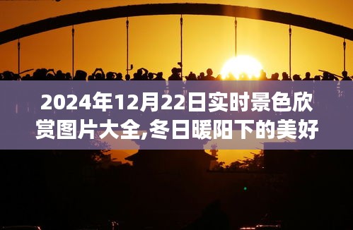 冬日暖陽下的美景瞬間，實時景色欣賞之旅，記錄美好時光，2024年12月22日實拍圖片大全分享