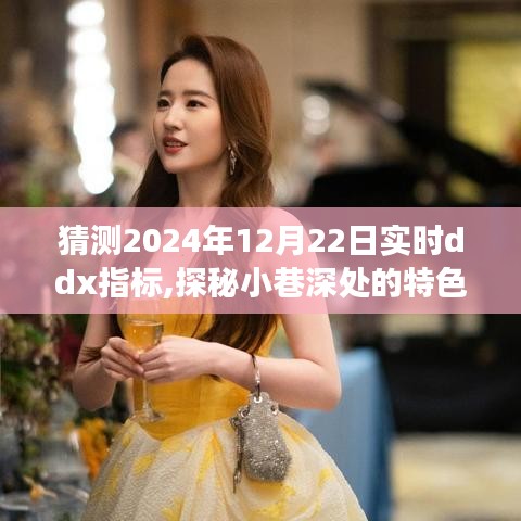 探秘小巷特色小店，預(yù)測2024年12月22日實(shí)時(shí)ddx指標(biāo)之旅揭秘猜測與體驗(yàn)分享