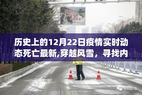 歷史上的十二月二十二日，疫情動(dòng)態(tài)與自然的寧靜奇景之旅