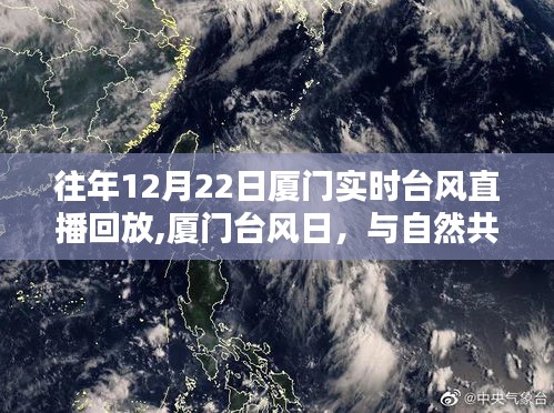 廈門臺風(fēng)日，與自然共舞，尋找內(nèi)心的寧靜港灣回放紀(jì)實