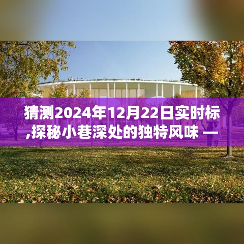 探秘時(shí)光巷弄，2024年12月22日實(shí)時(shí)標(biāo)下的獨(dú)特風(fēng)味小店揭秘
