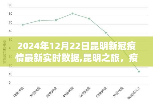 昆明新冠疫情最新實時數(shù)據(jù)下的綠洲之旅，尋找內(nèi)心的寧靜與力量