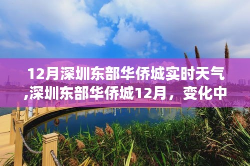 深圳東部華僑城12月實(shí)時(shí)天氣與變化中的學(xué)習(xí)之旅，自信與成就感的陽光照耀