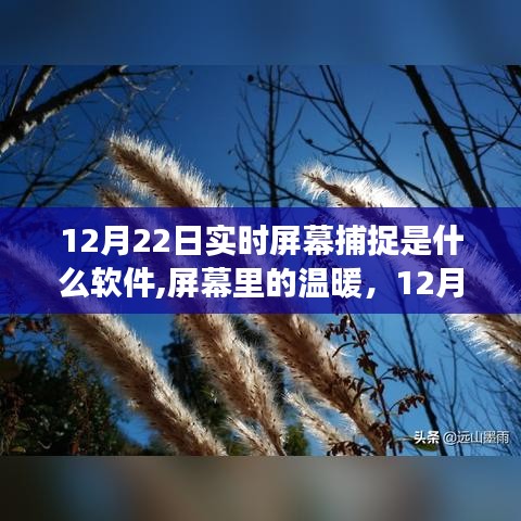 捕捉時光的軟件故事，屏幕溫暖背后的秘密