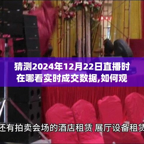 2024年12月22日直播實(shí)時(shí)成交數(shù)據(jù)觀看指南，如何在線獲取詳細(xì)步驟