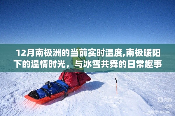 南極洲12月實(shí)時(shí)溫度揭秘，暖陽(yáng)下的溫情時(shí)光與冰雪生活的日常趣事