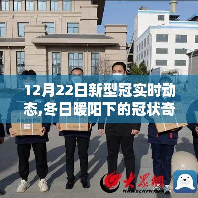 冬日暖陽下的奇跡，新型冠實時動態(tài)與美景邂逅之旅