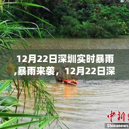 深圳暴雨來(lái)襲，深度解析12月22日實(shí)時(shí)暴雨事件